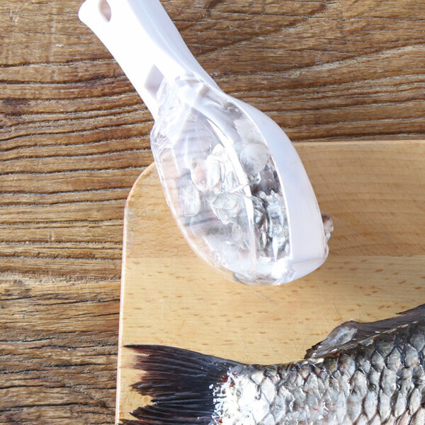 Fish Scale Grater - Image 7