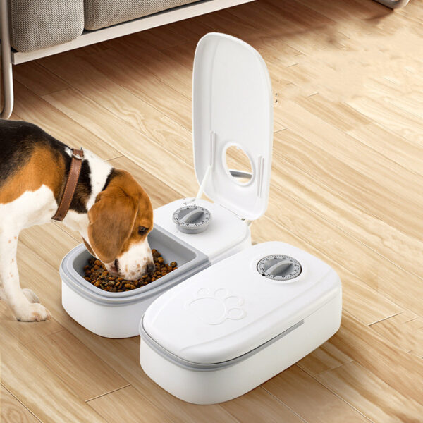 Automatic timer pet bowl